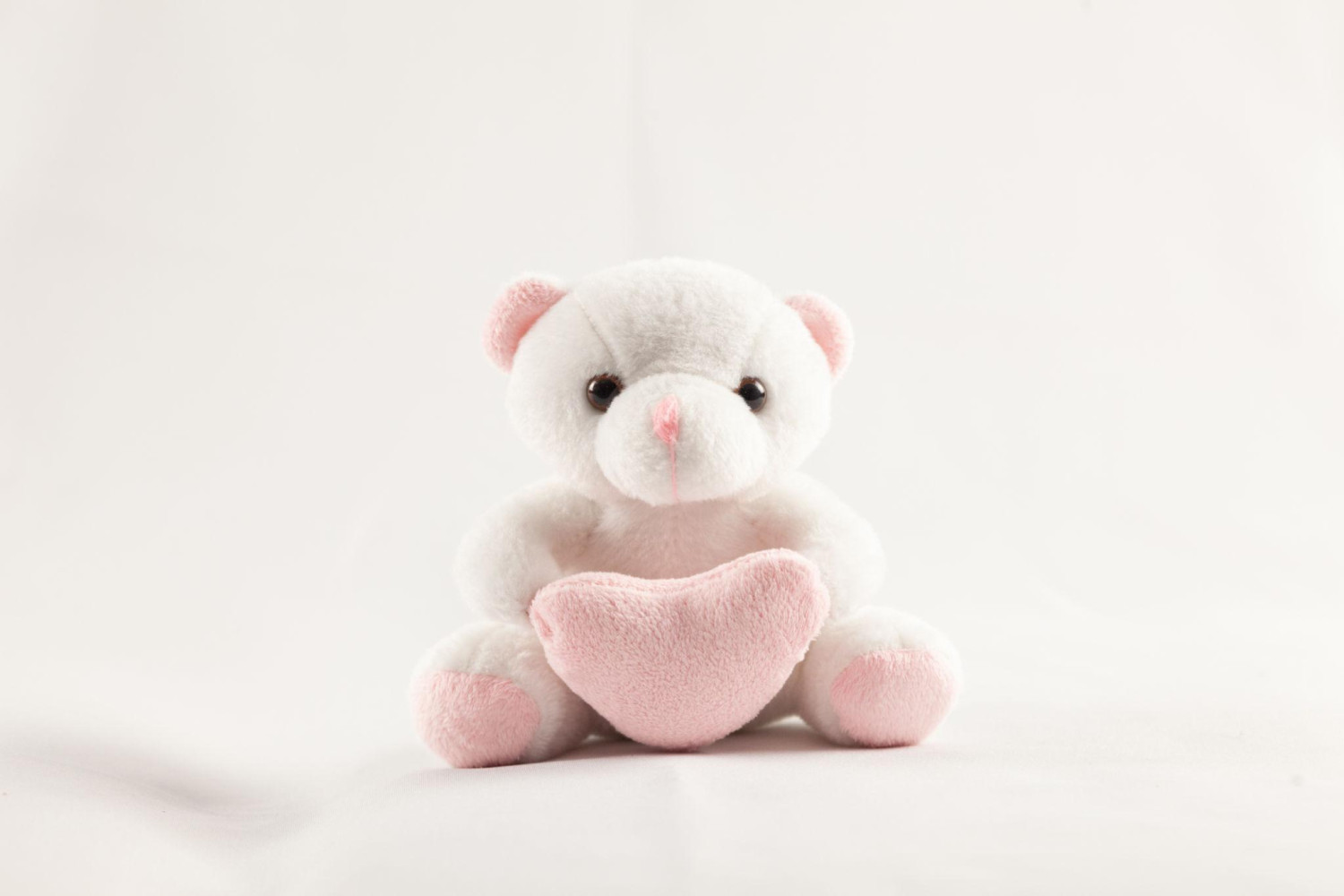 Baby & Me Soft Plush Teddy Bear Toy